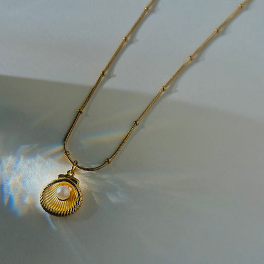 Pearl shell Necklace